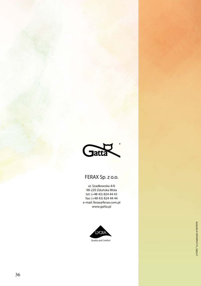 Gatta Back Cover  FW 2015 2016 | Pantyhose Library